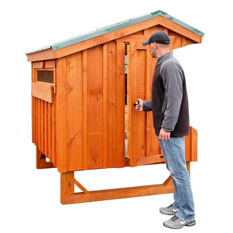 Craftsman 4x6 Chicken Coop