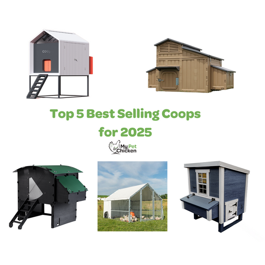 The Top 5 Best-Selling Chicken Coops for 2025: Which One is Right for Your Flock?