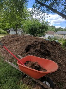 Chicken manure benefits for the garden