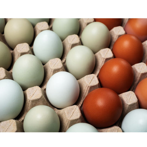 All About Blue Eggs: The Reason for Their Color