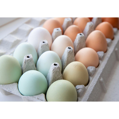 All About Eggshell Colors—Why Are Some Eggs Blue?