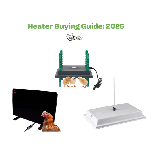 Heater Buying Guide for 2025