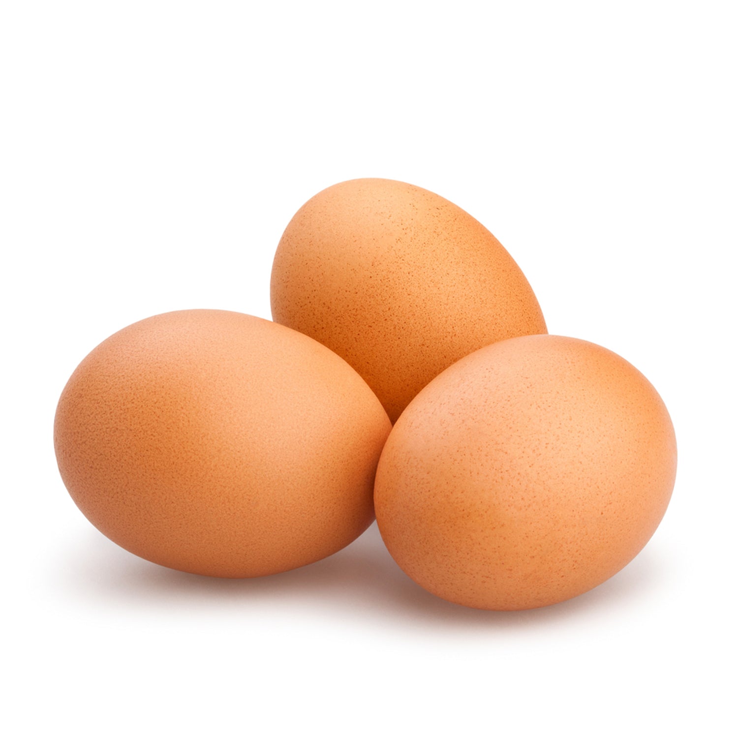 Brown Egg Layers