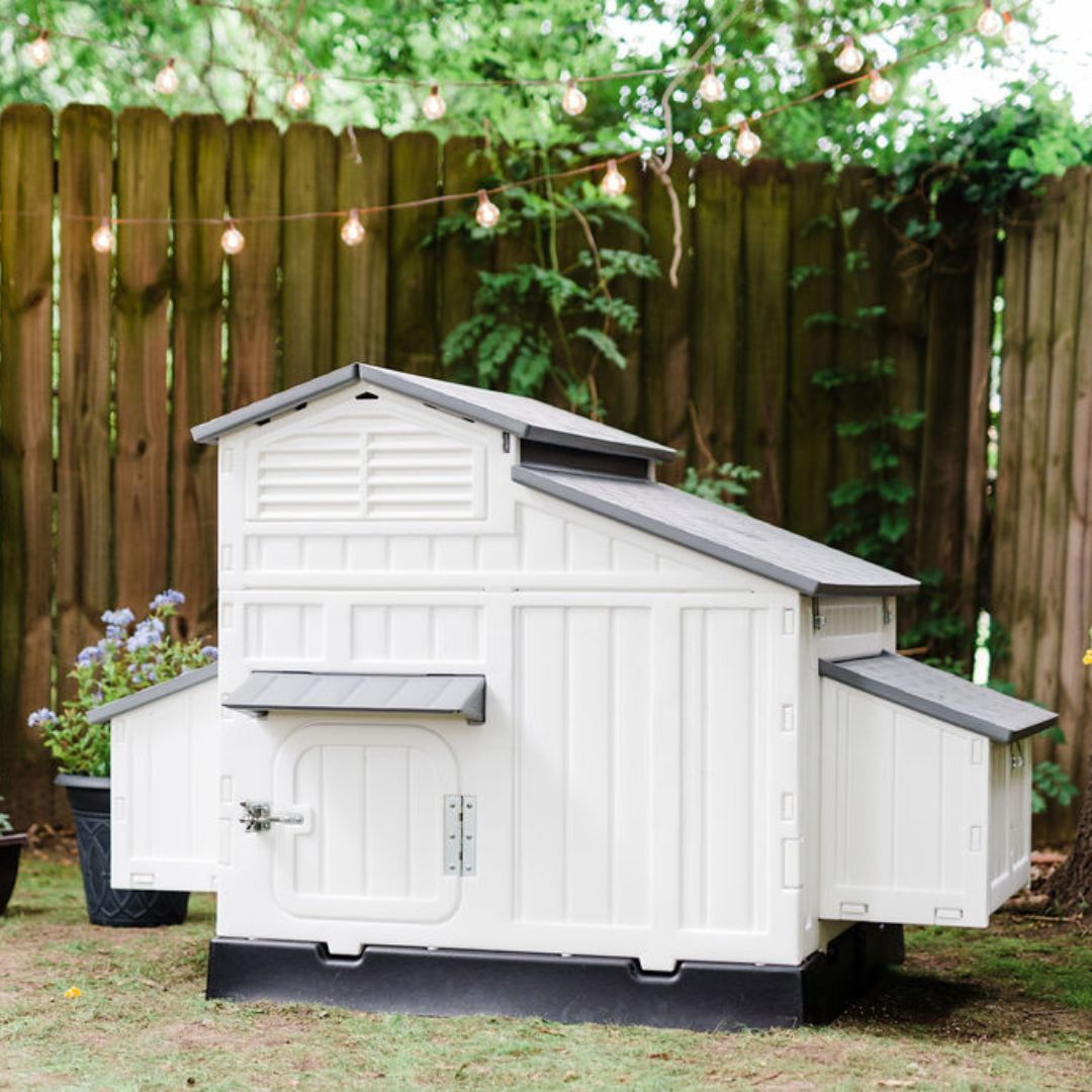 The Hen Pen Modular Chicken Run w/ Cover, 8' x 4', Rat-Proof - My Pet  Chicken