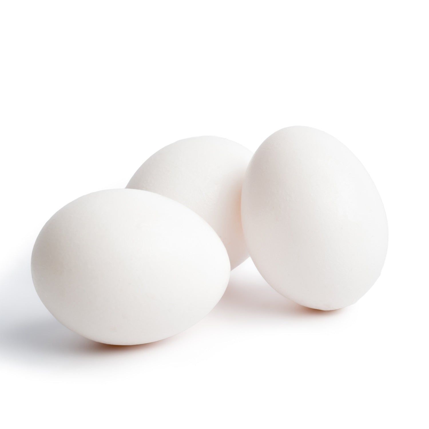 White Egg Layers