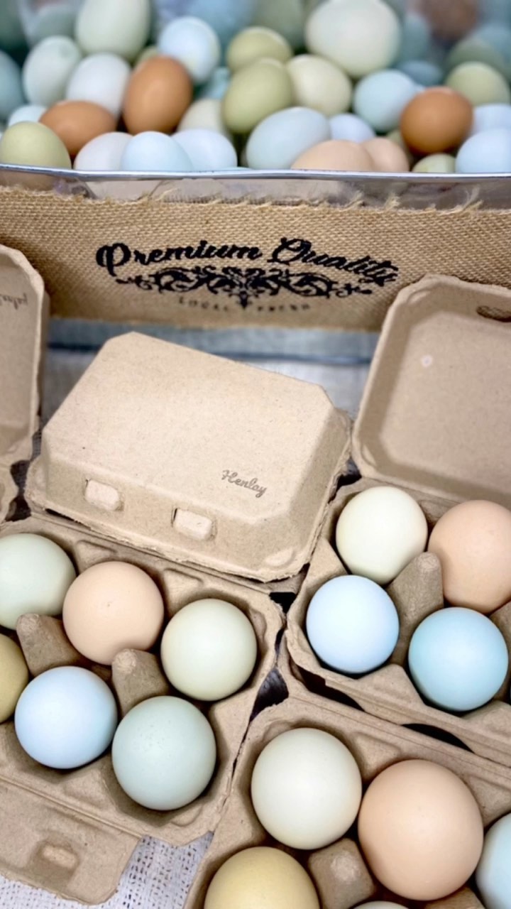 Henlay Duck Egg Cartons- Holds Half Dozen Jumbo Eggs- Recycled