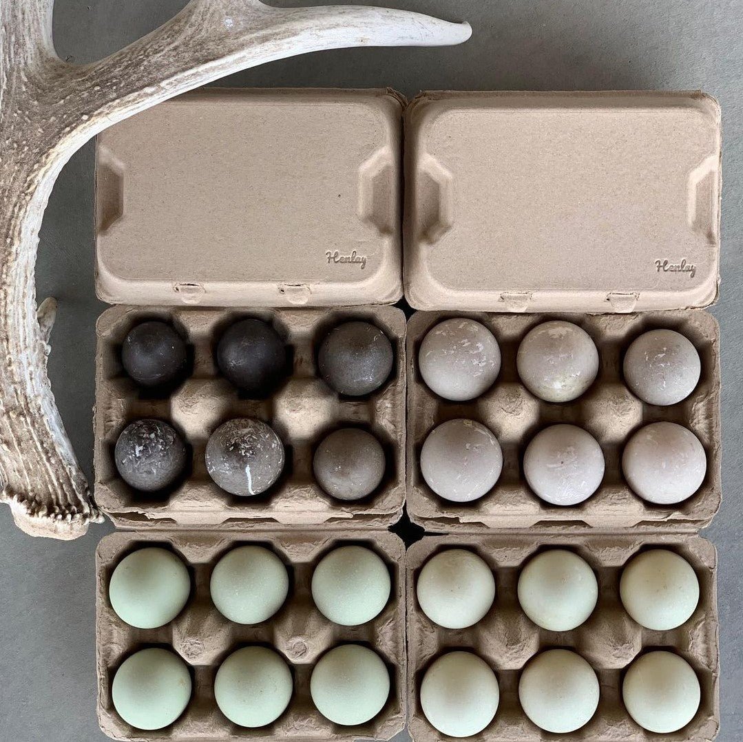 Duck Egg Carton - Drader