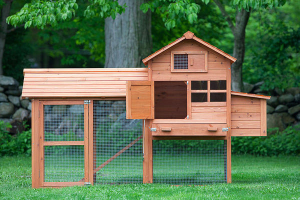 Cottage Playhouse Plastic Chicken Coop.  BackYard Chickens - Learn How to  Raise Chickens