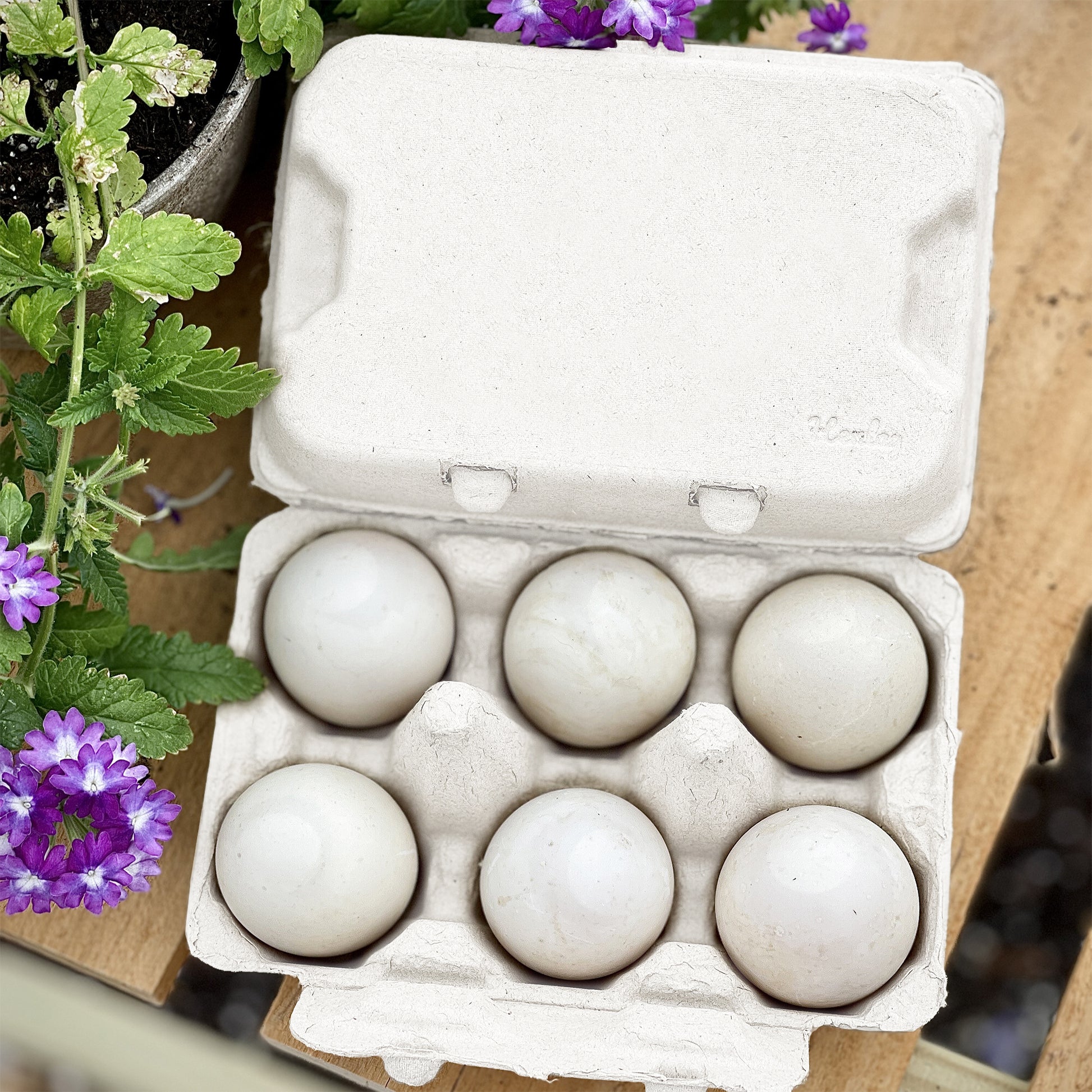 Duck Egg Cartons- Holds Half Dozen Jumbo Eggs- Blank Top- 100/Pack