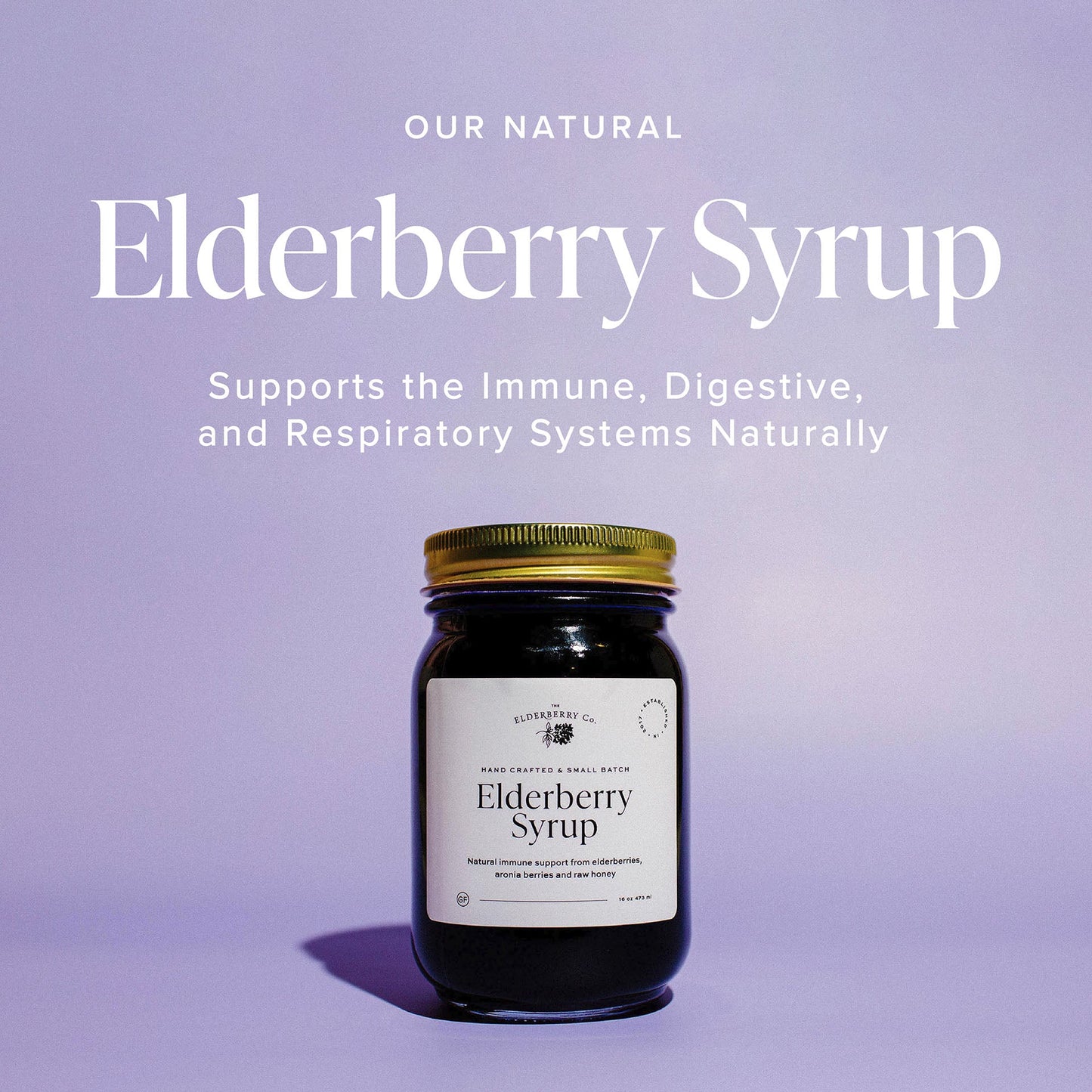 Elderberry Syrup