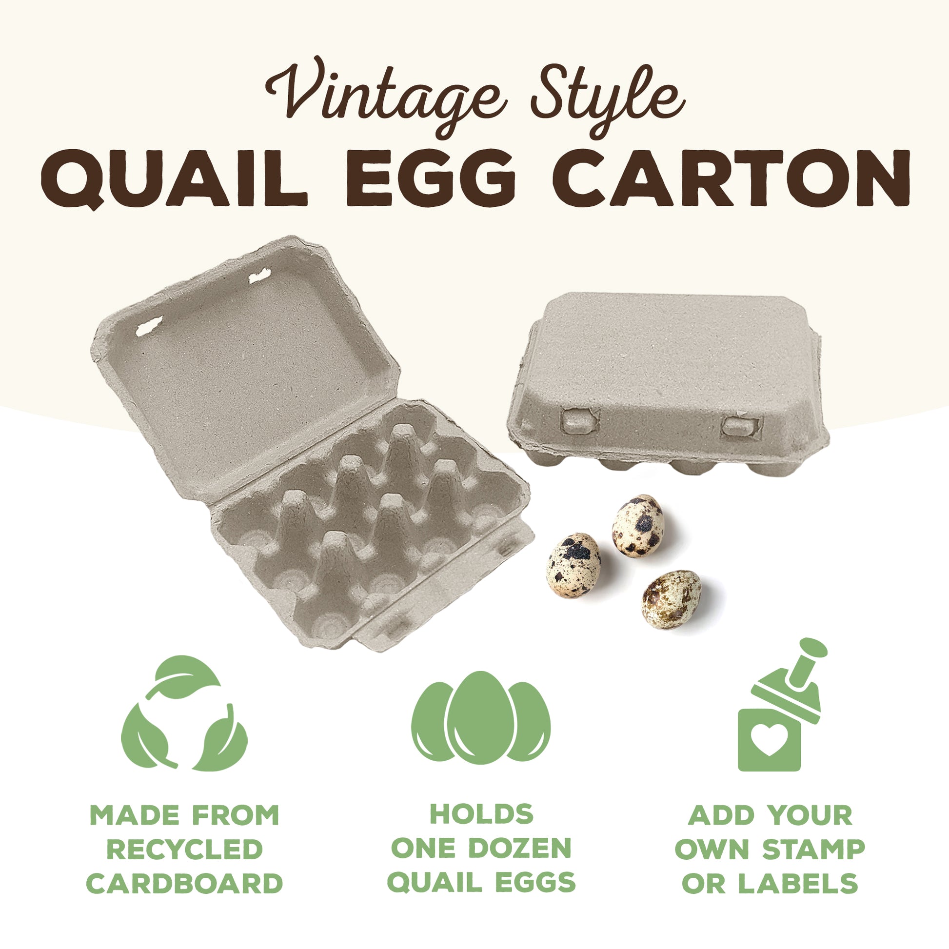Blank Egg Cartons Bulk 5 Packs - Holds 12 Eggs 1 Dozen, Reusable