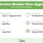 Baby Chicks: Cuckoo Bluebar Blue-Egger