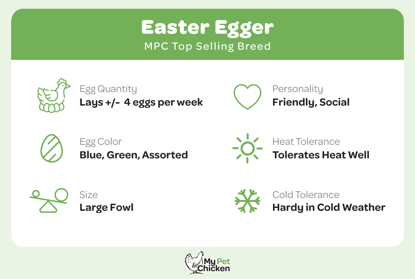Pullet: Easter Egger, Shipping Week of