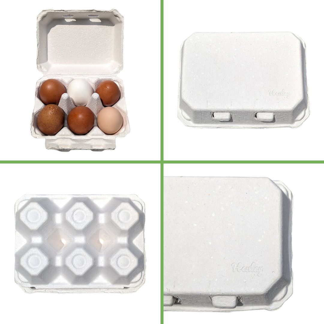 Egg Cartons half dozen ( new larger pack size ) - Starlight Packaging
