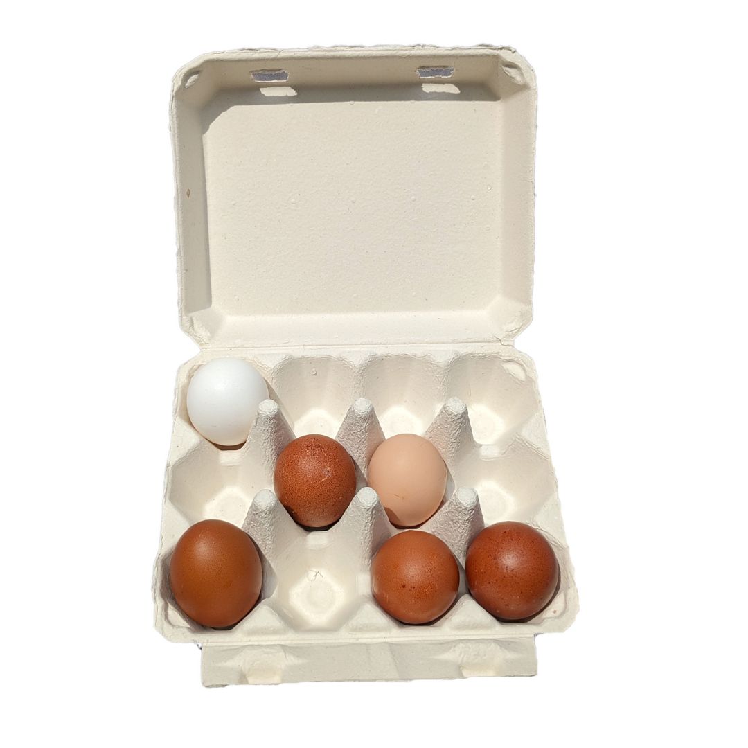 https://www.mypetchicken.com/cdn/shop/files/henlay-vintage-white-egg-carton.jpg?v=1700688974&width=1445