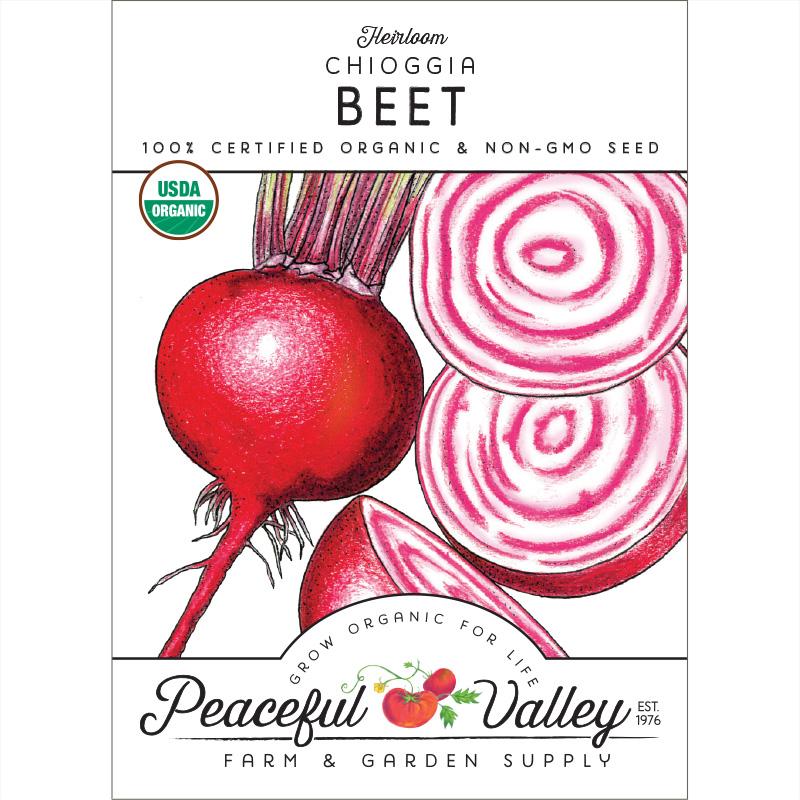 Chioggia Beet Seeds (Organic)