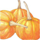 Small Sugar Pumpkin Seeds (Organic)