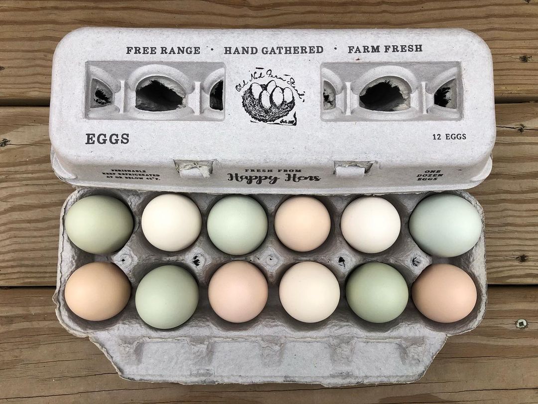 Customized Chicken fresh Egg Labels Stamp- egg Carton Stamp Date self ink  ink box Laid Farm Labels Chicken stamp Just Coop Y1B1 - AliExpress