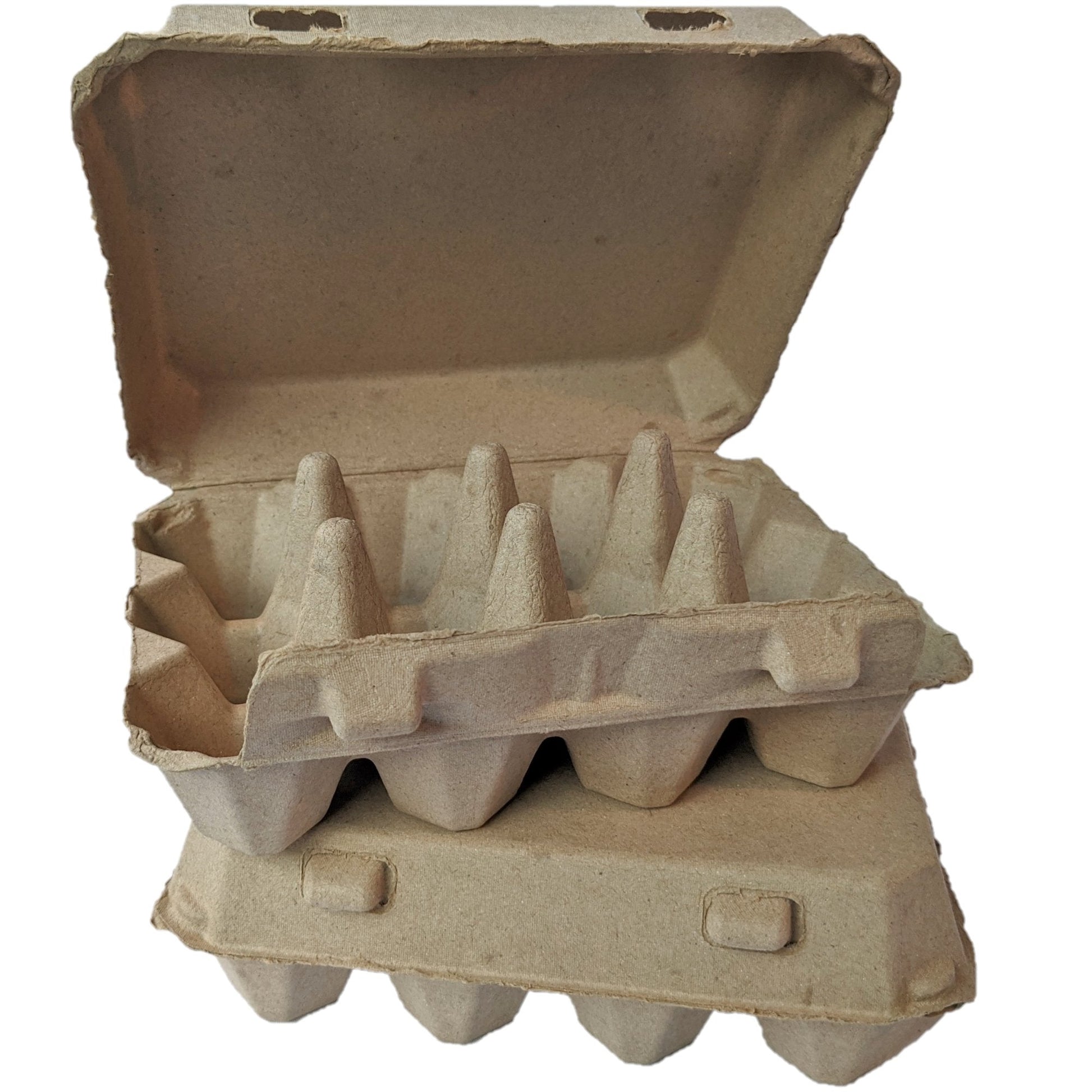 Blank 12-Egg Flat top Style Paper-Pulp Compostable Egg Carton