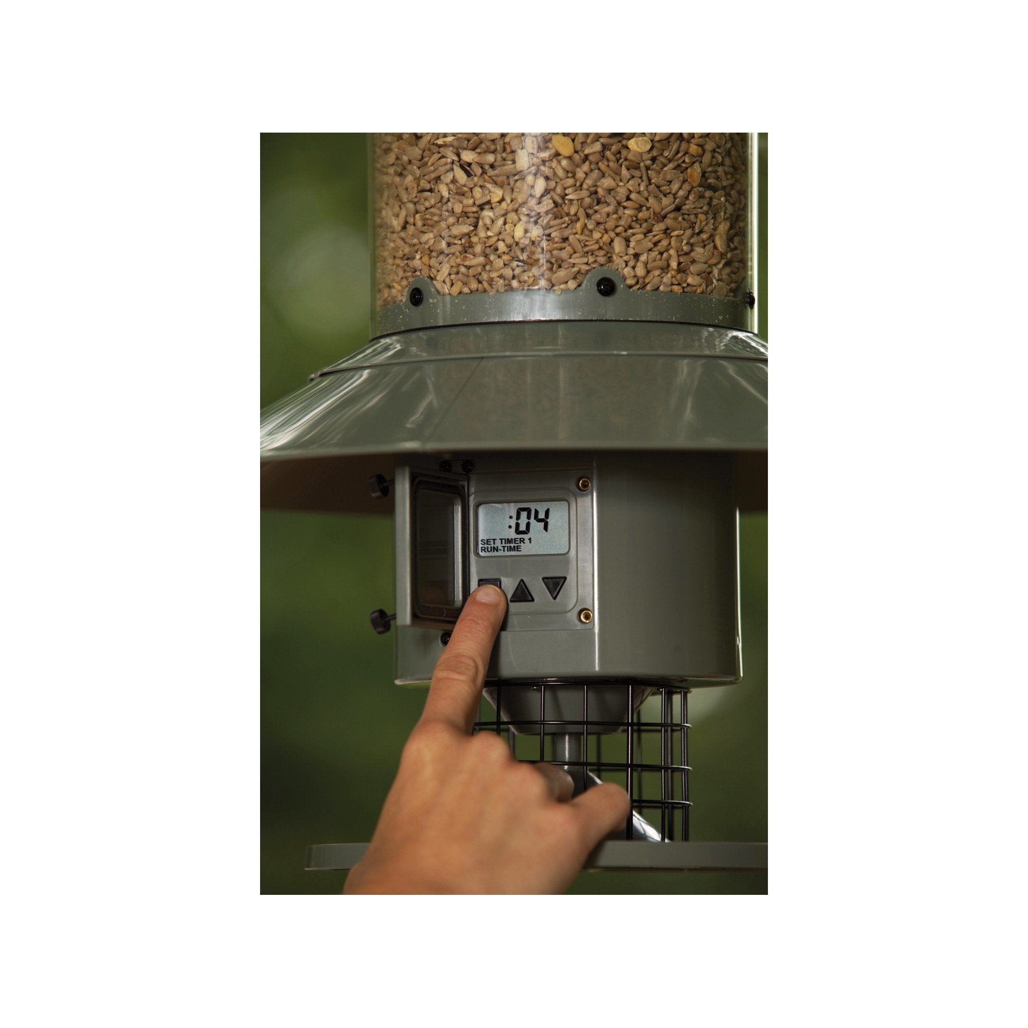 Automatic bird feeder with timer sale