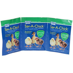 Can different chicken breeds cross-breed? - My Pet Chicken