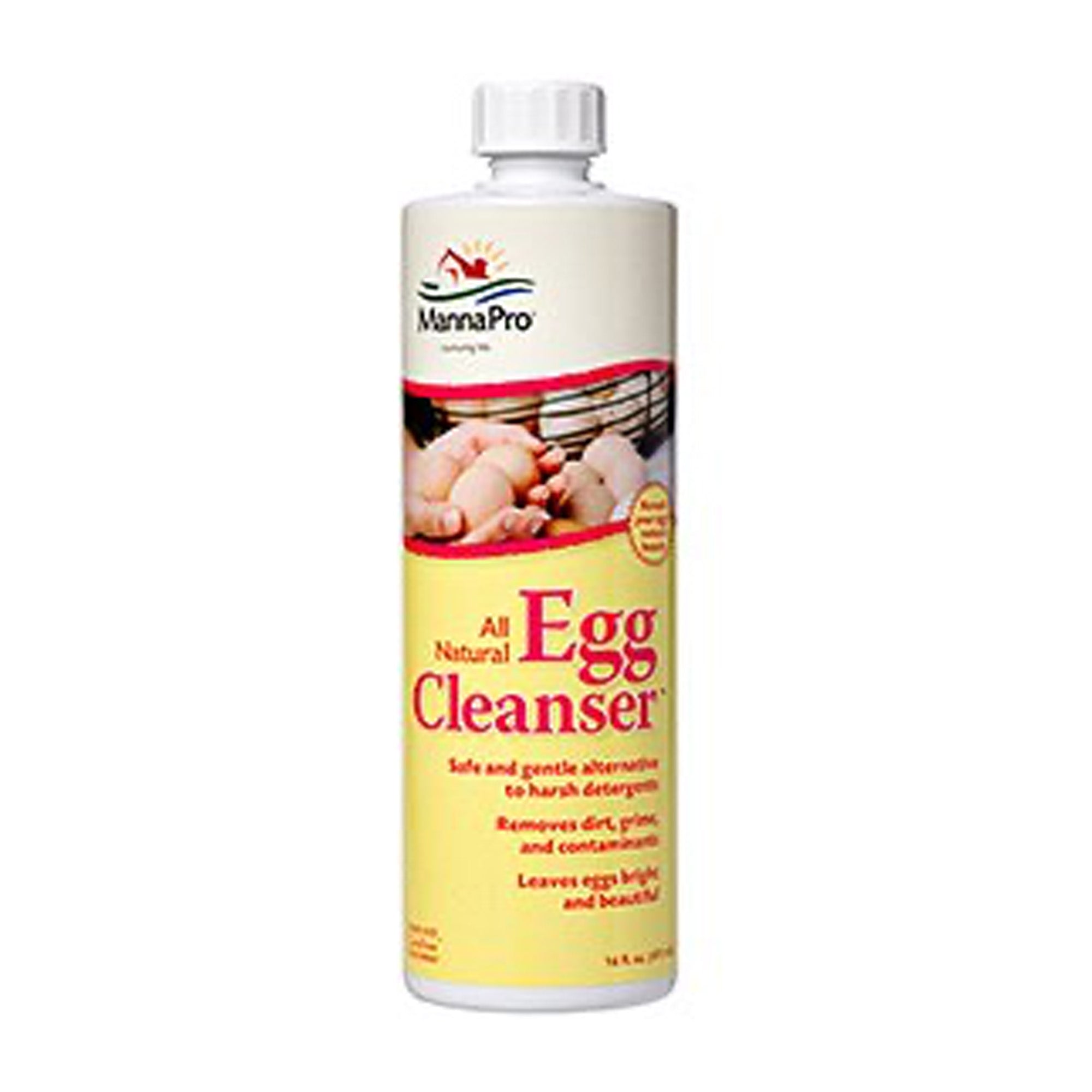 EZ-Clean Chick Brush for Cleaning Incubator and Eggs