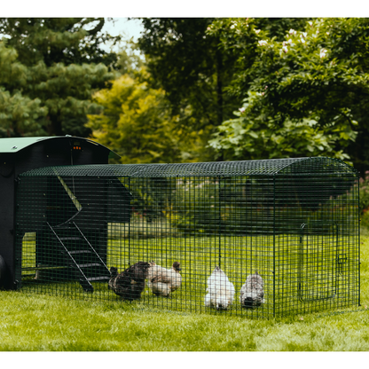 Chicken Coop Run by Nestera