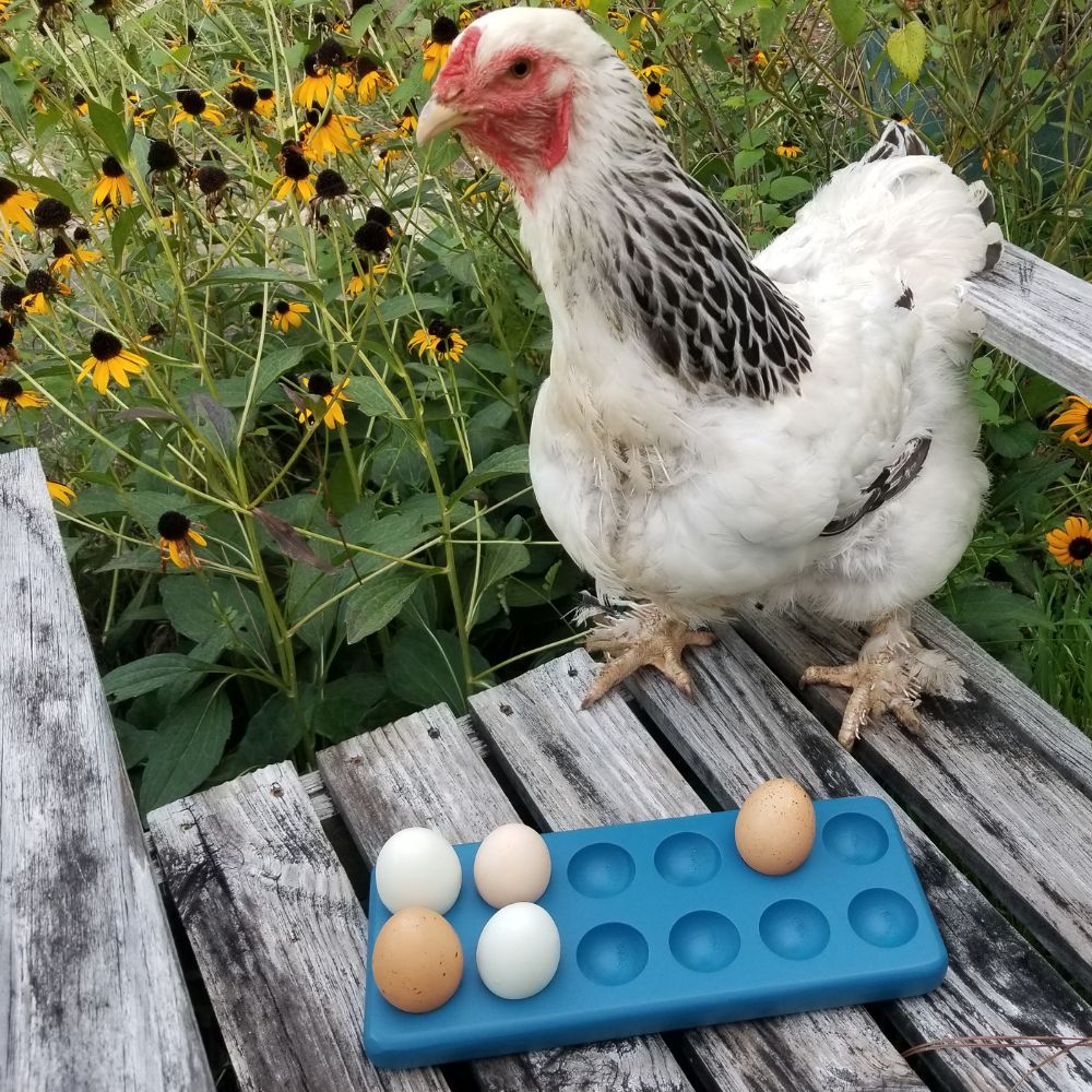 Chicken/hen Egg Storage Rack/hen Egg Holder/chicken Egg Storage Rack/hen  Kitchen Egg Storage Holder/egg Storage/egg Holder 